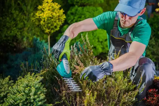 landscaping services Catahoula